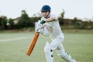 What do we like about cricket?